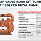 Wilden Pumps