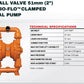 Wilden Pumps